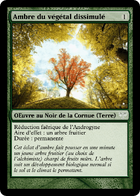 Illustration de Ambre du végétal dissimulé