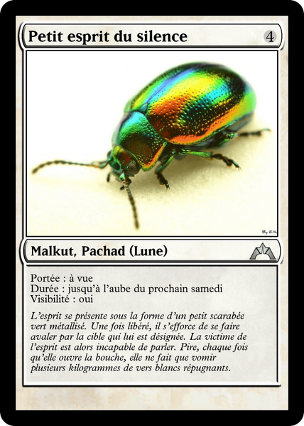 Fichier:Petit esprit du silence.png