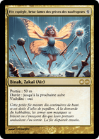 Illustration de Fée espiègle, brise-lames des grèves des naufrageurs