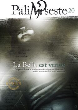 Illustration de Palimpseste 20